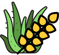 L'Oasi%20di%20Attilio